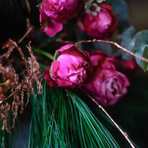 2017-11-30-PHOTO-00000160