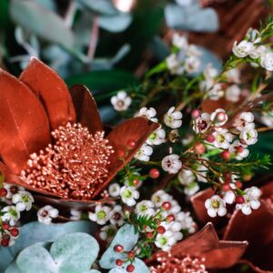 2017-11-30-PHOTO-00000164