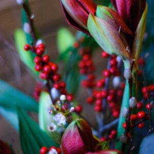 20171130_221020258_iOS