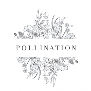 The Pollination Gift Certificate