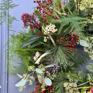 IMG_2025-11-21-135738